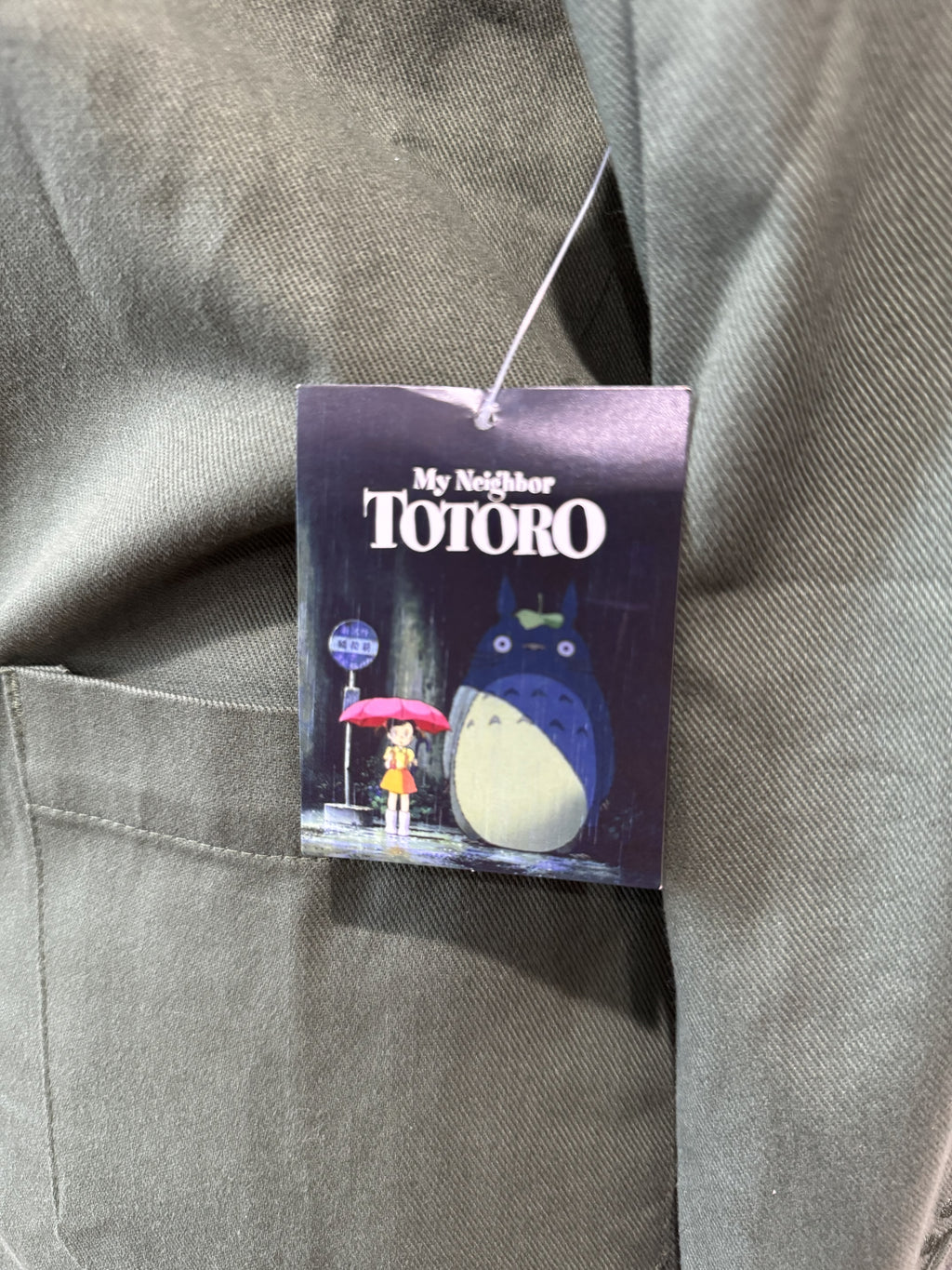 Studio Ghibli My Neighbor Totoro Embroidered Sage Jacket — BoxLunch Exclusive