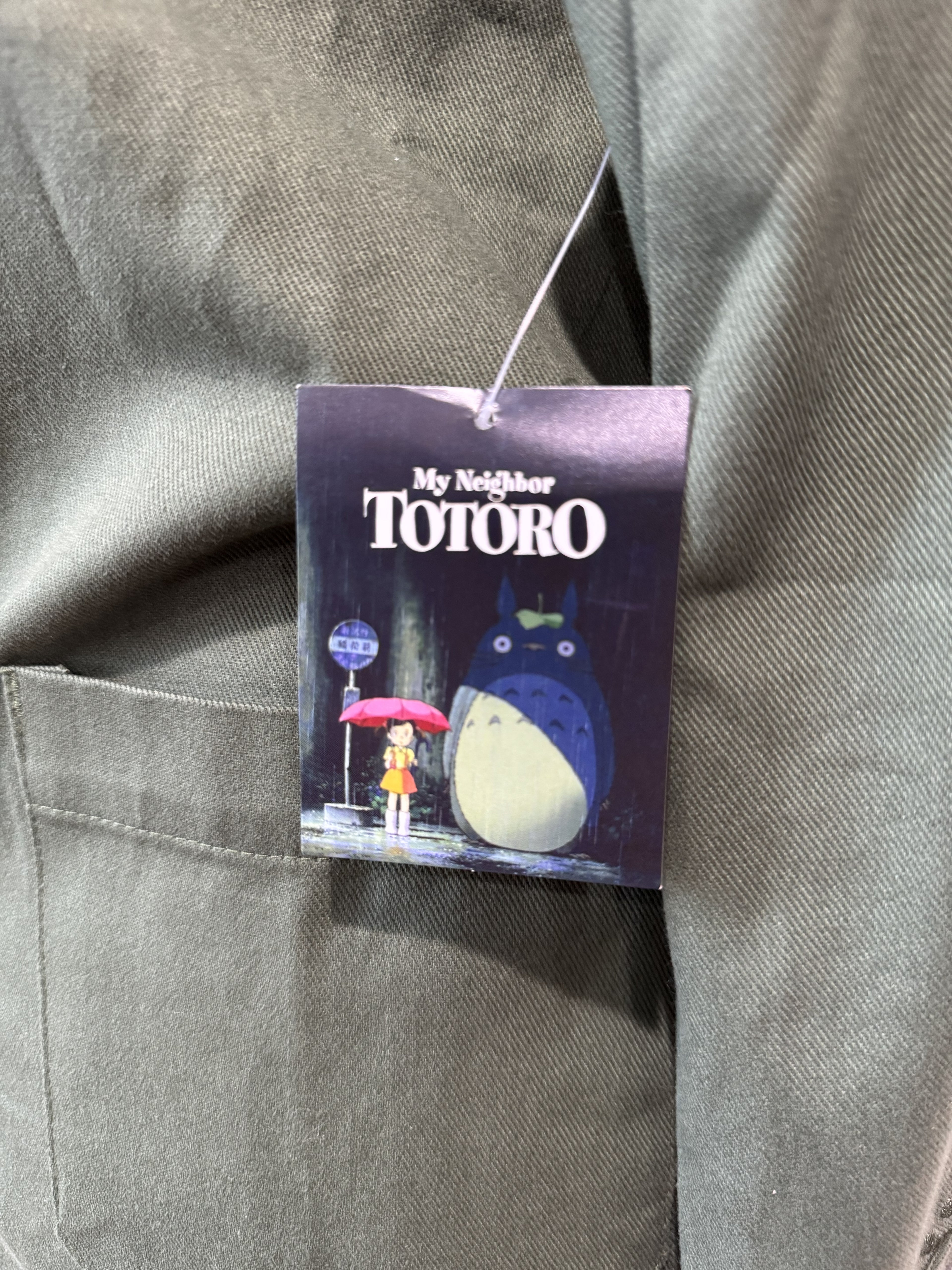 Studio Ghibli My Neighbor Totoro Embroidered Sage Jacket — BoxLunch Exclusive